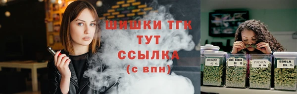 2c-b Надым