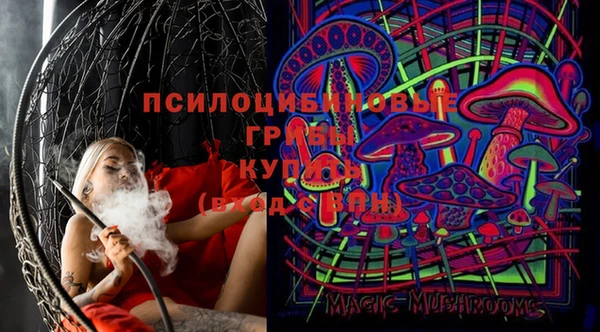 2c-b Надым