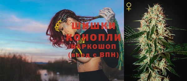 2c-b Надым