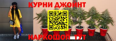 стафф Заводоуковск