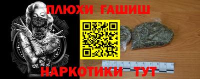 стафф Заводоуковск