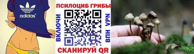 дарнет шоп  hydra ссылка  Галлюциногенные грибы MAGIC MUSHROOMS  Ивантеевка 