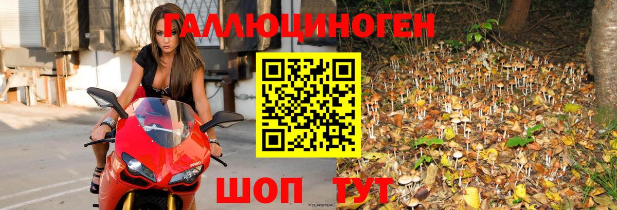 Псилоцибиновые грибы мухоморы  Галлюциногенные грибы MAGIC MUSHROOMS  Ивантеевка 