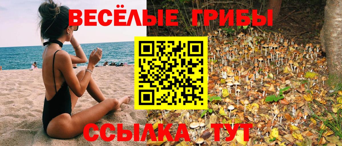 Псилоцибиновые грибы Cubensis Ивантеевка