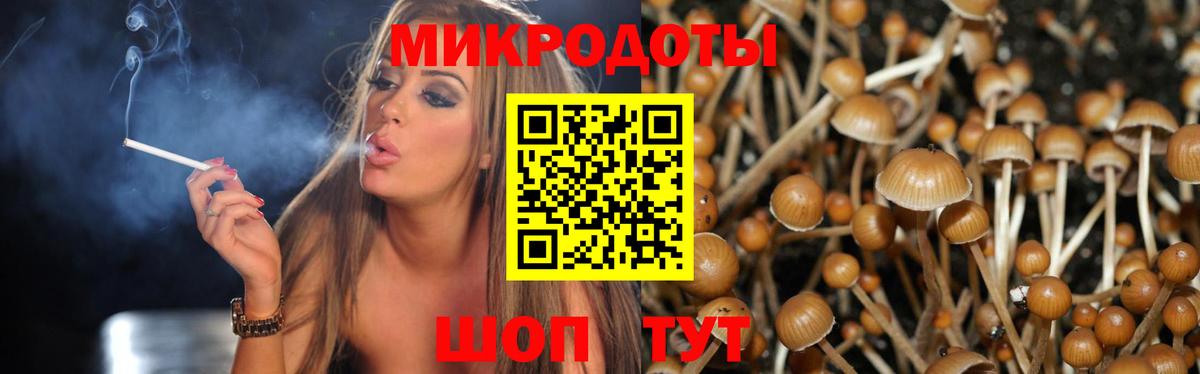 Галлюциногенные грибы мицелий  Вход с VPN  Псилоцибиновые грибы GOLDEN TEACHER  Ивантеевка 